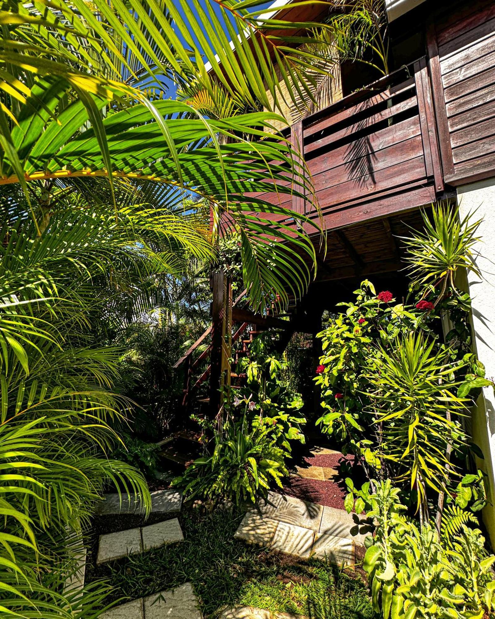P'Ti Coin Zen Appartement Saint-Gilles-les-Bains Buitenkant foto